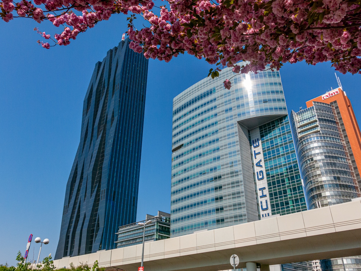 20190415_101410_IMG_3033