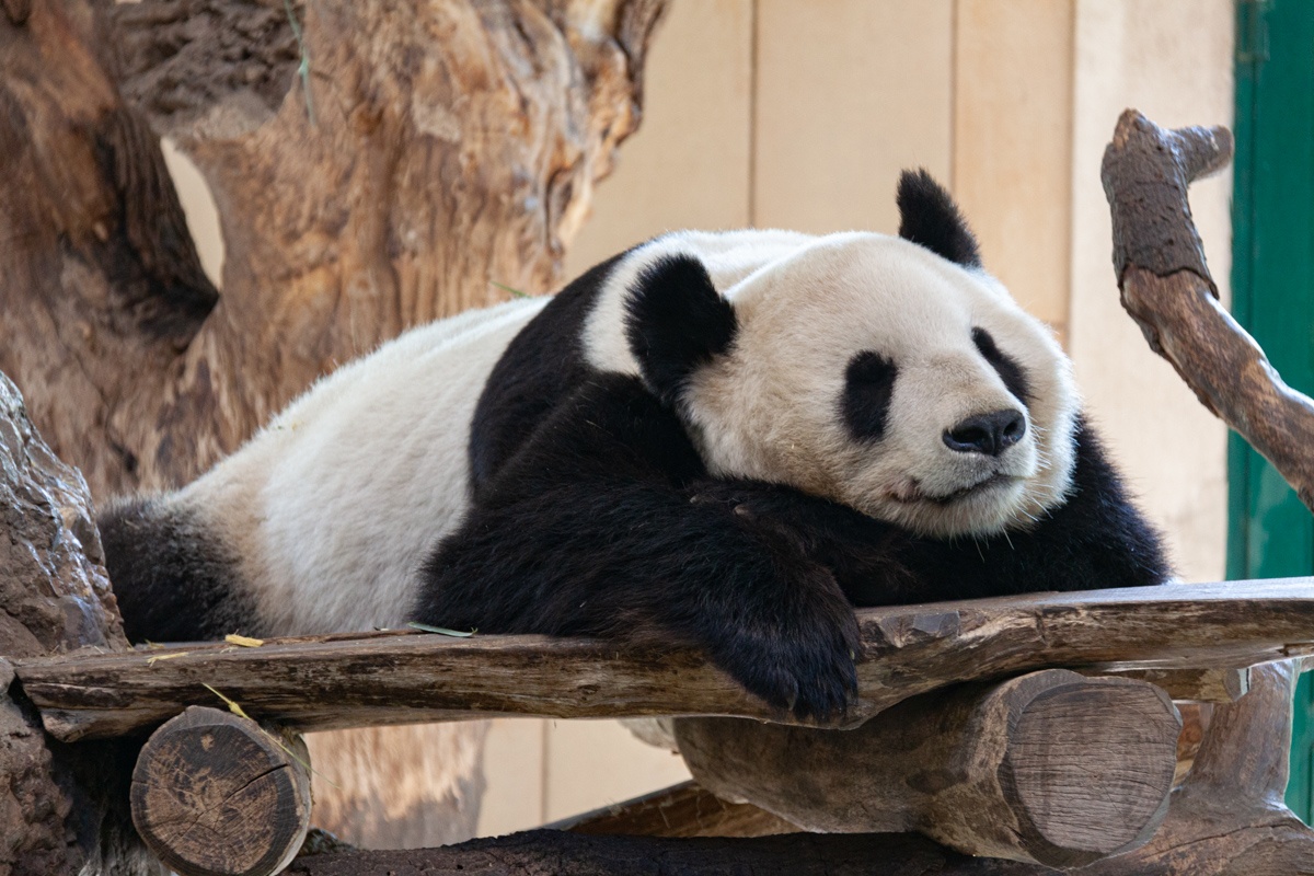 20190416_142529_IMG_9880