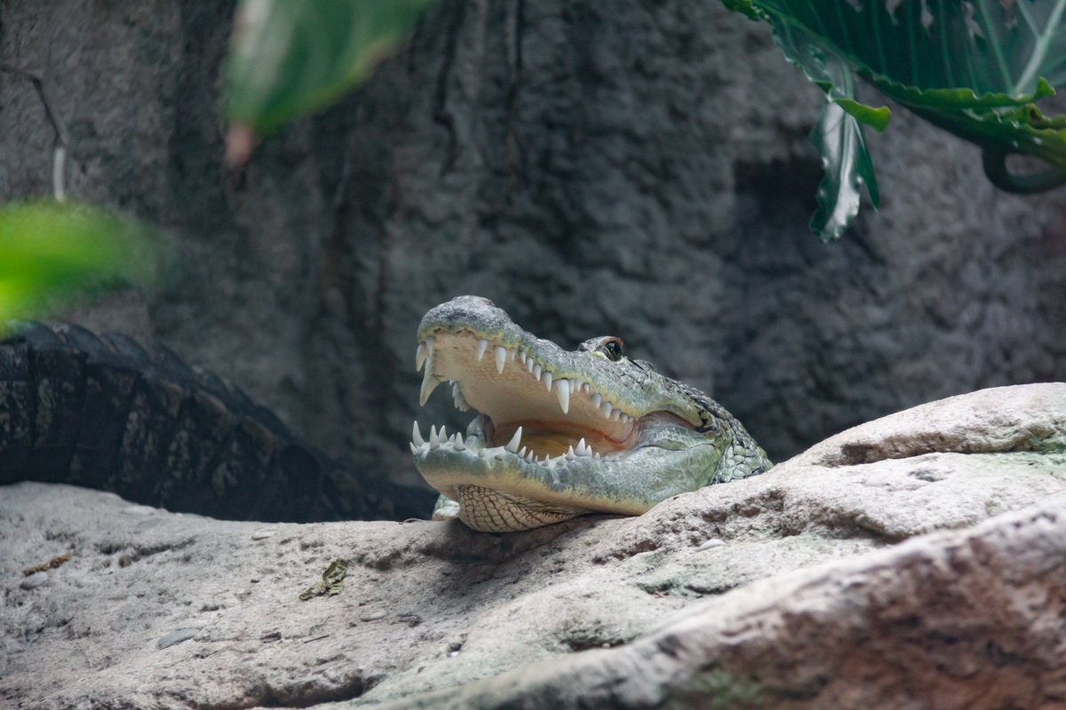 20190416_145755_IMG_9891