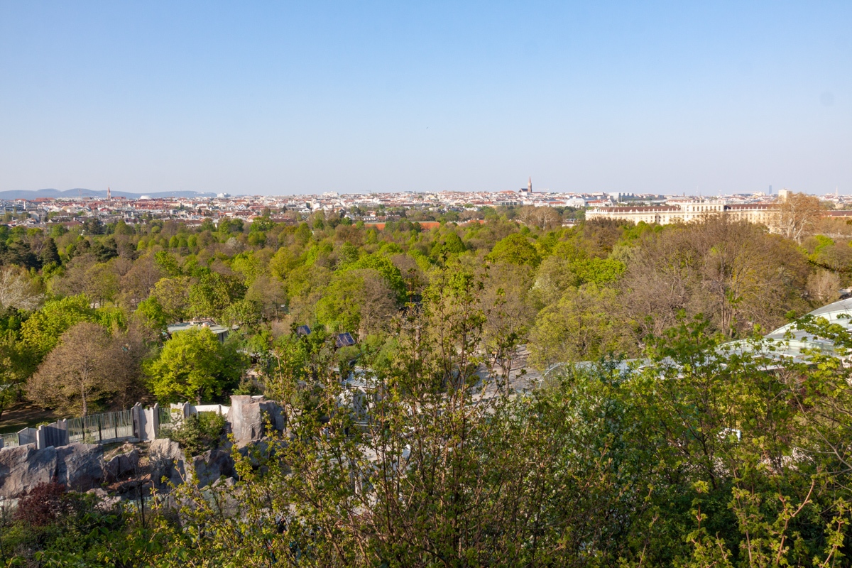 20190416_171657_IMG_9915