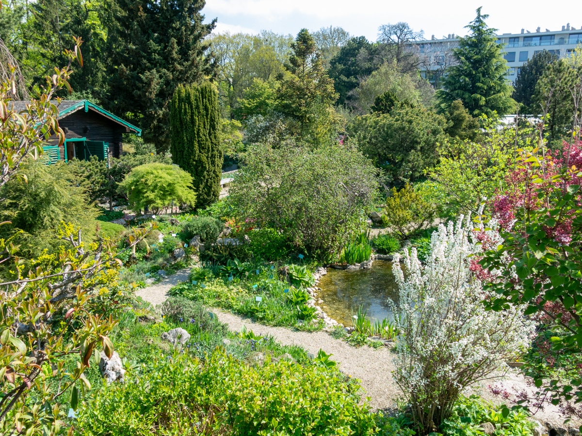 20190417_110400_IMG_3265