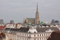 20190413_160209_IMG_9680