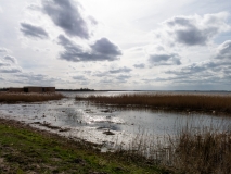 20200315_135755_IMG_5057