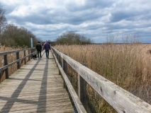 20200315_141259_IMG_5061