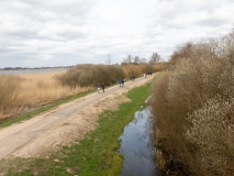 20200315_142857_IMG_5068