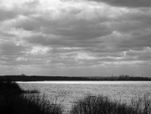 20200315_142922_IMG_5069