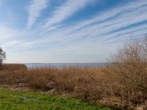 20200316_095608_IMG_5078