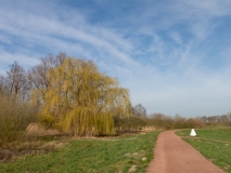 20200316_095742_IMG_5081