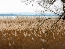 20200316_100150_IMG_5085