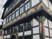 20200703_094739_IMG_1691