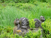 20200703_125032_IMG_5120