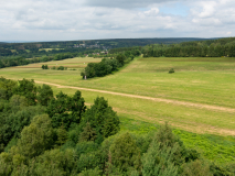 20200703_141609_IMG_5138