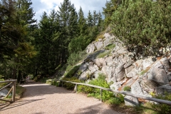 20200906_153243_DSC00311