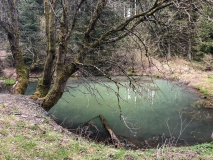 20210502_130459_IMG_4886