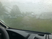 20210522_102037_IMG_5100