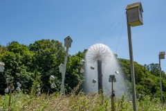 20210613_123504_DSC01300