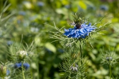 20210613_124500_DSC01314