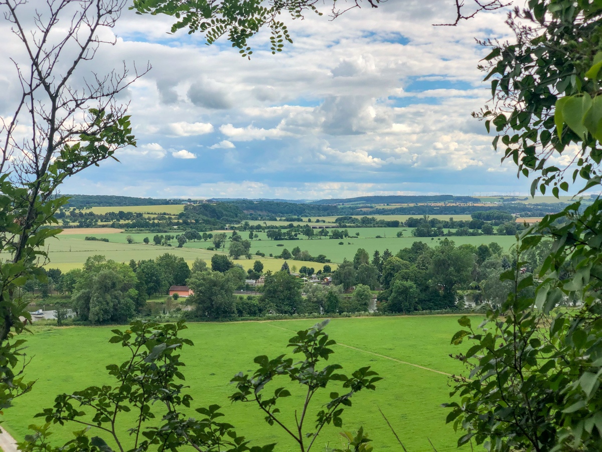 20210630_164411_IMG_5908