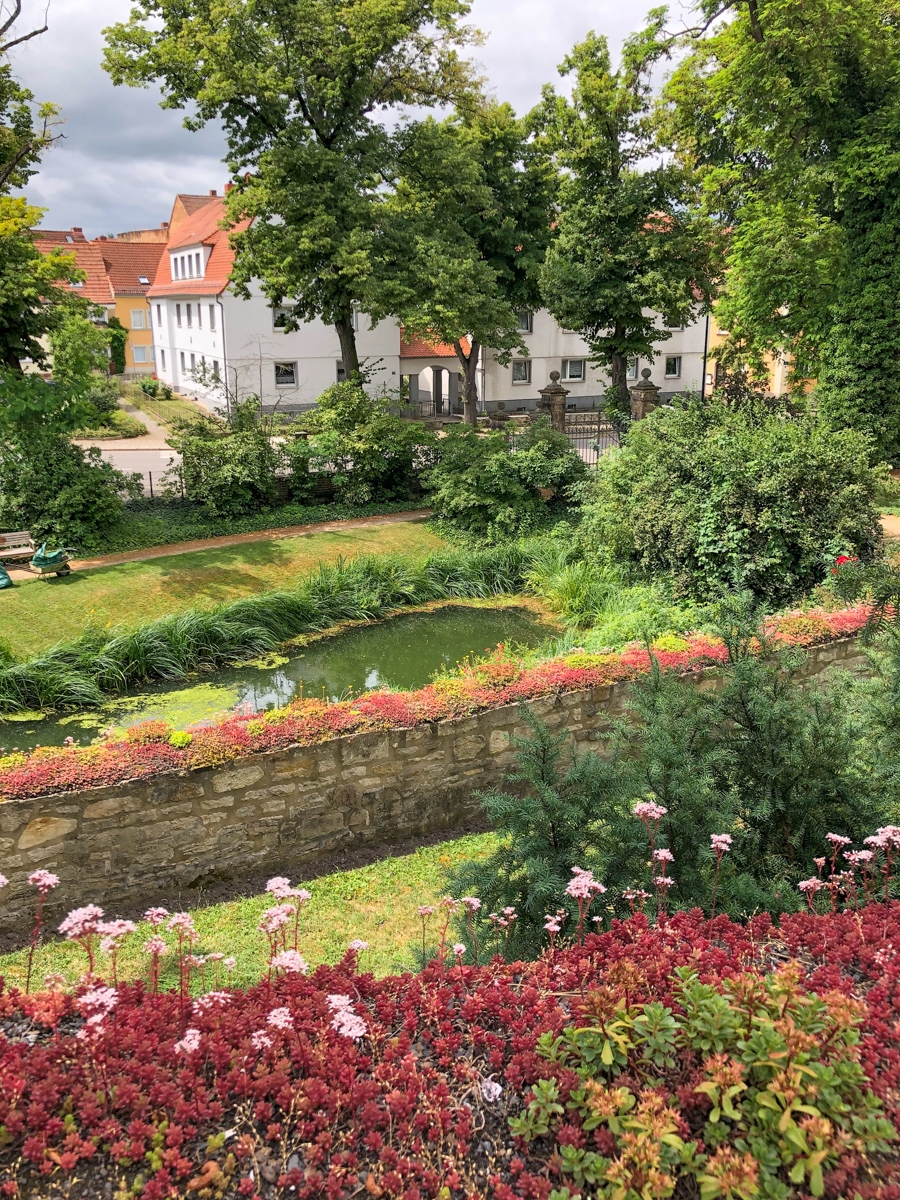 20210701_115256_IMG_5981