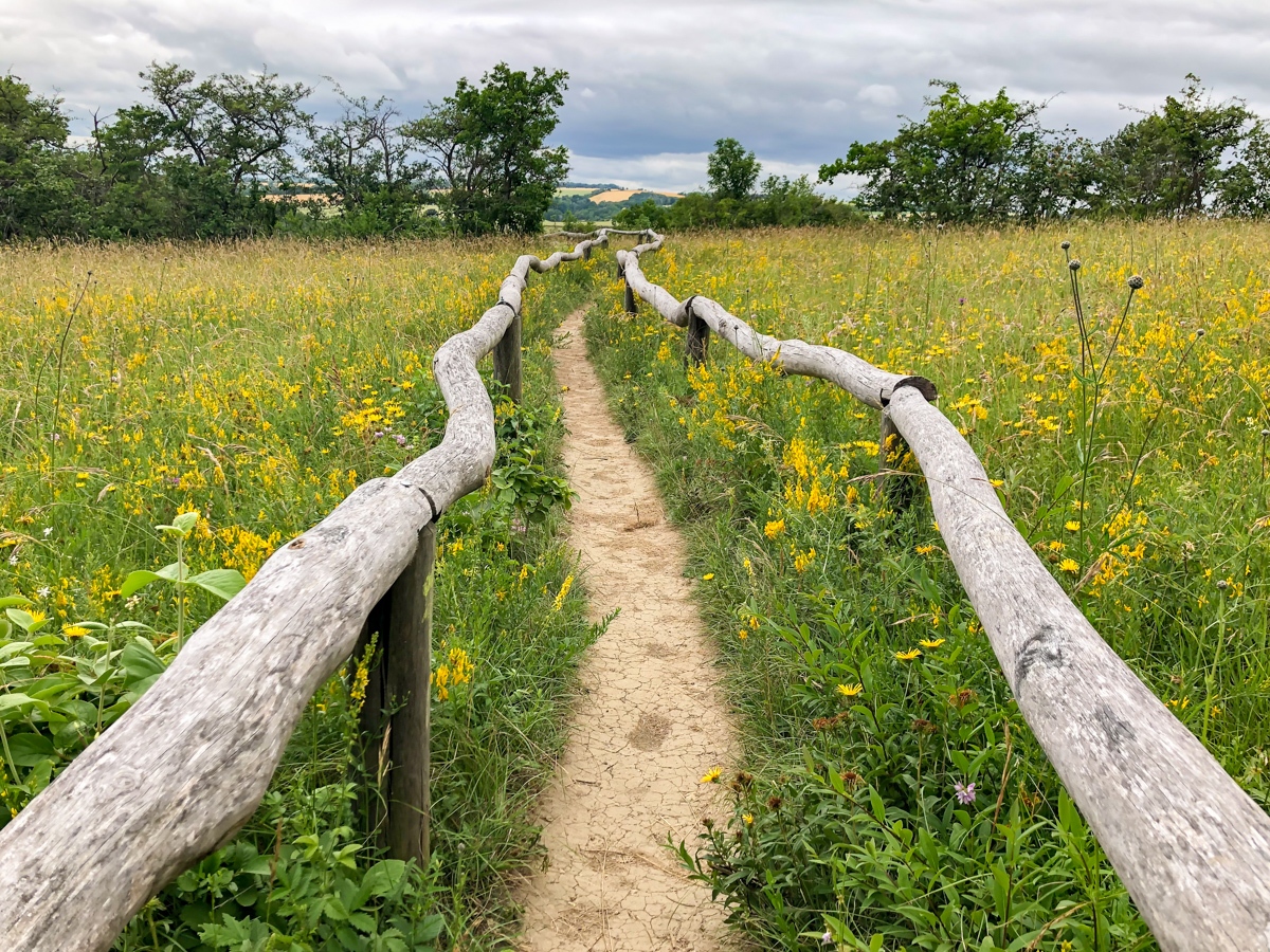 20210701_144101_IMG_6030