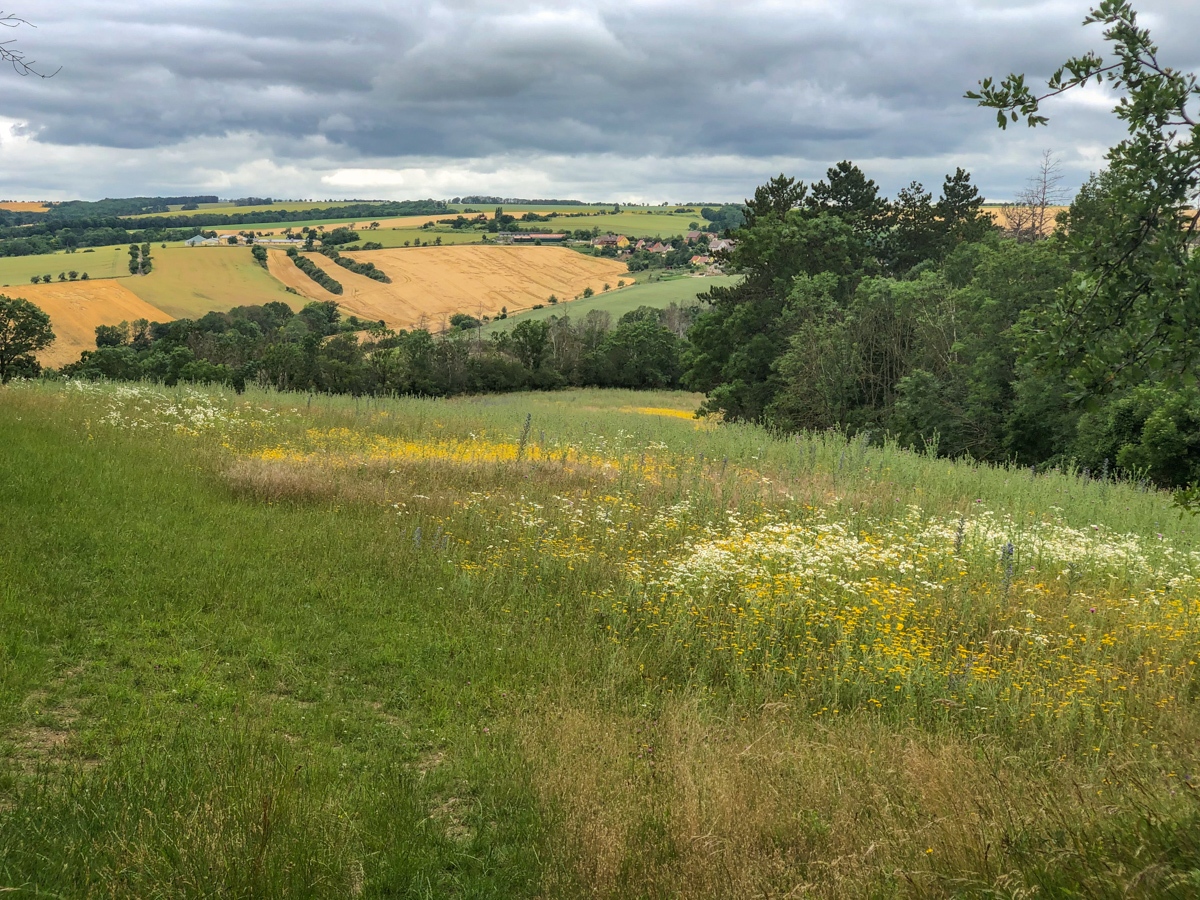 20210701_150758_IMG_6063