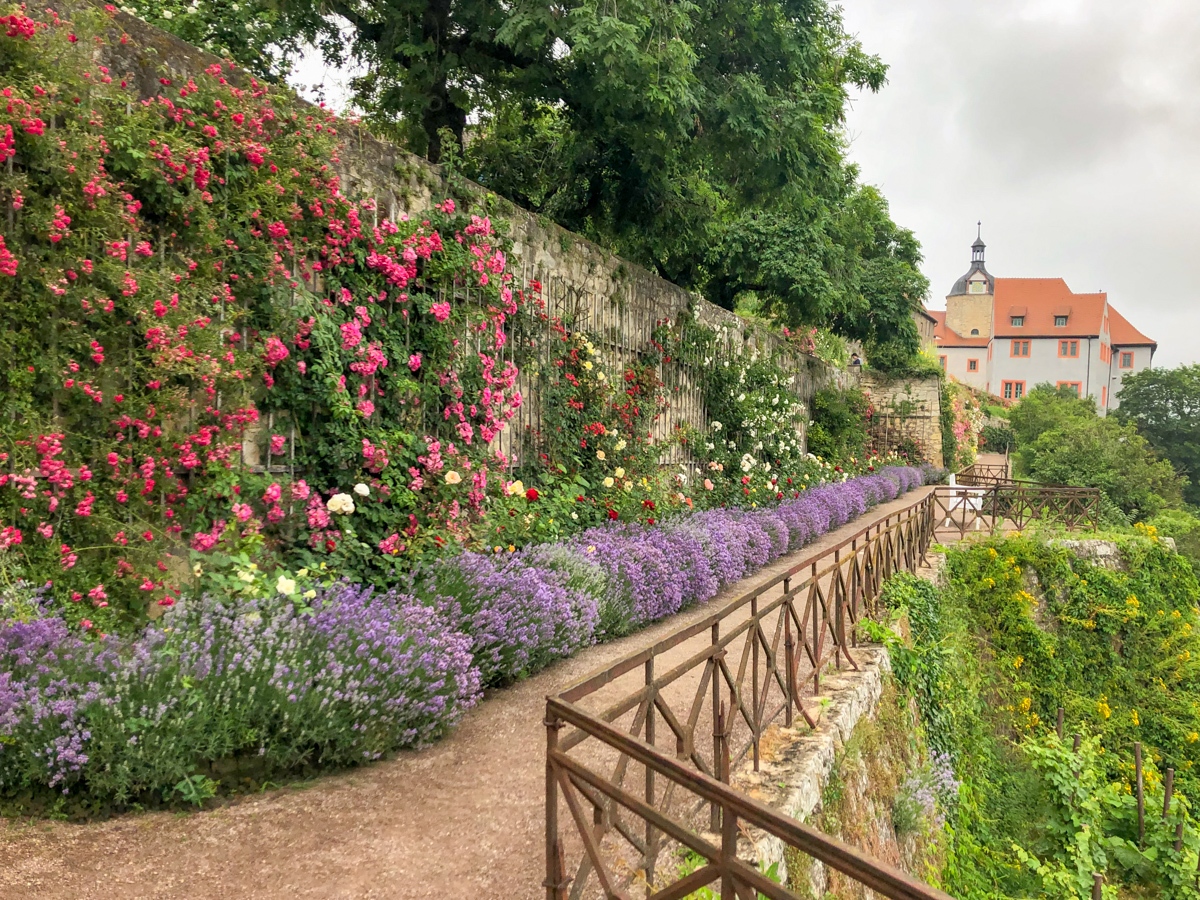 20210702_122152_IMG_6168