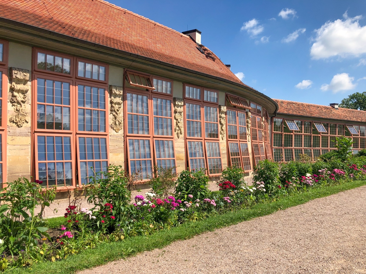 20210703_113247_IMG_6221