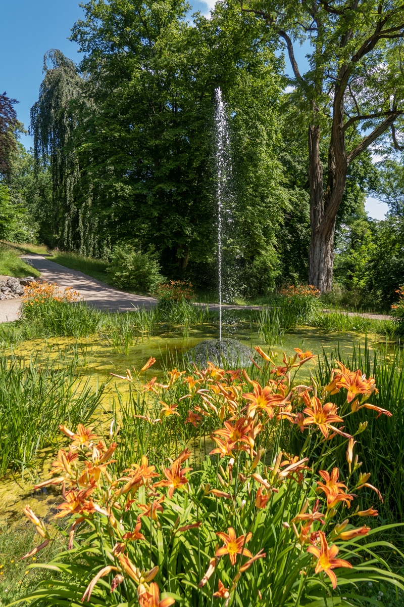 20210703_121130_DSC02126