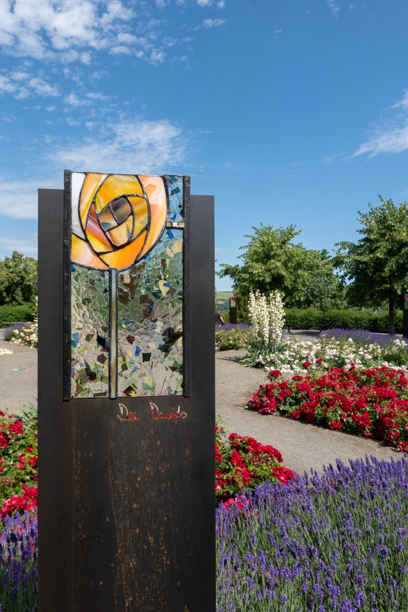 20210706_111513_DSC02338