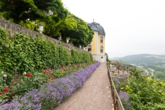 20210702_102739_DSC01987