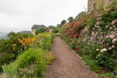 20210702_120420_DSC02024