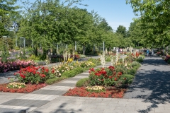 20210706_095018_DSC02309