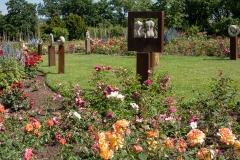 20210706_110828_DSC02333