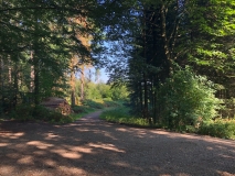 20210904_104831_IMG_7565