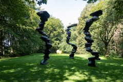 20210905_125004_DSC04181